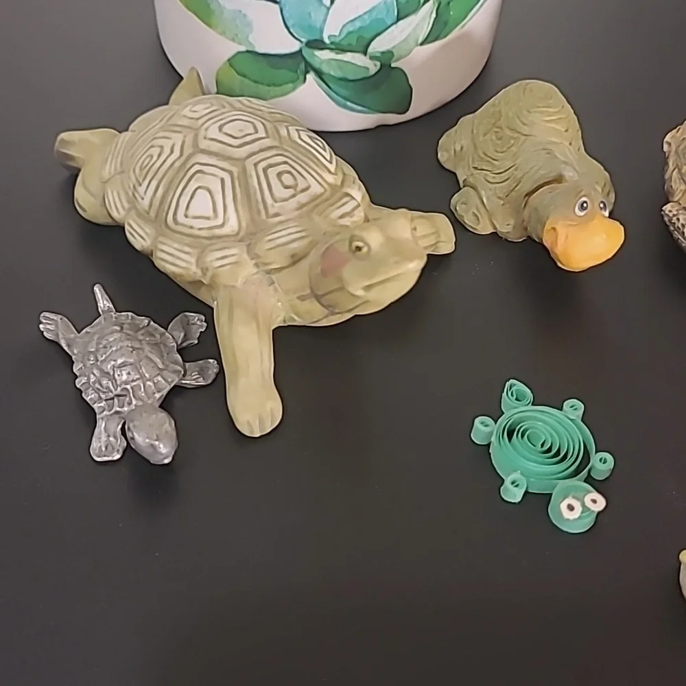 Mini Turtle Collection - Picture 2 of 6